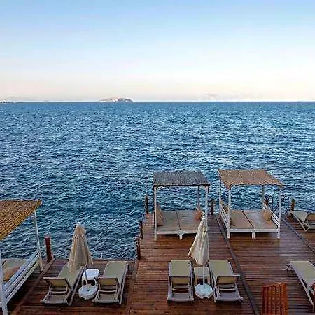Vega Boutique & Aparts Hotel